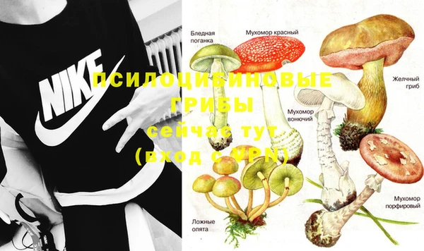 круглые Михайловск