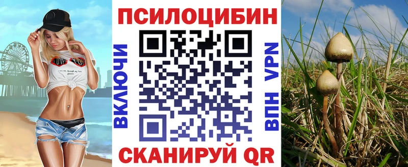 закладки  Таганрог  mega вход  Галлюциногенные грибы прущие грибы 
